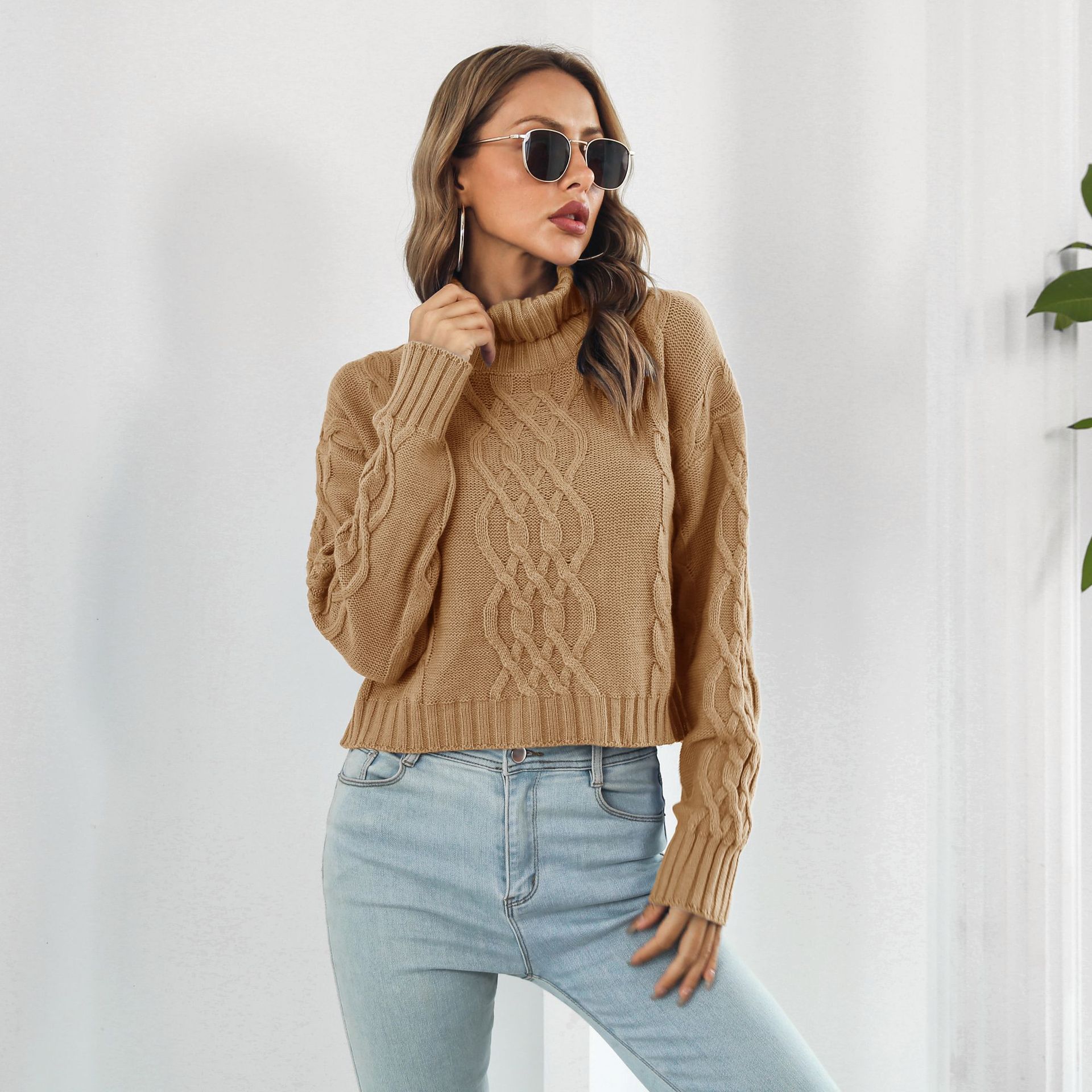 Knit Turtleneck Short Sweater Women Loose Autumn Winter Long Sleeve Sweater Sweater
