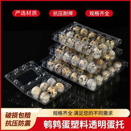 一次性塑料透明盒鹌鹑蛋包装盒PET吸塑塑料蛋托防震鹌鹑蛋包装盒