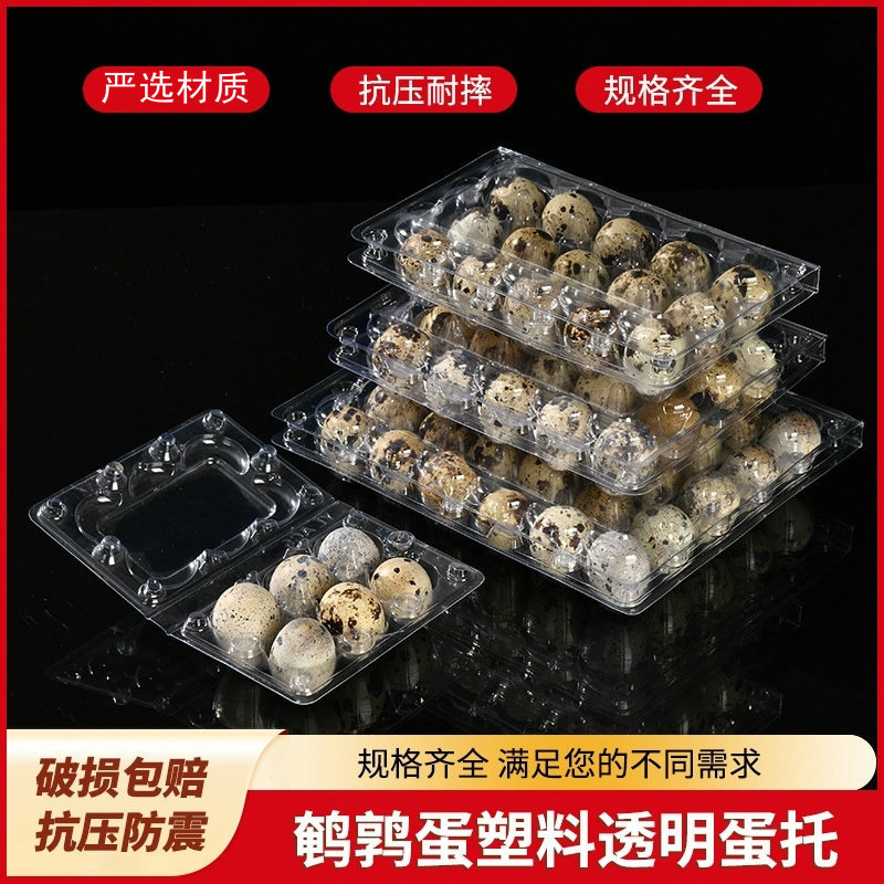 Disposable Plastic Transparent Box Quail Egg Packaging Box Pet Blister Plastic Egg Tray Bubble Wrap Quail Egg Packaging Box