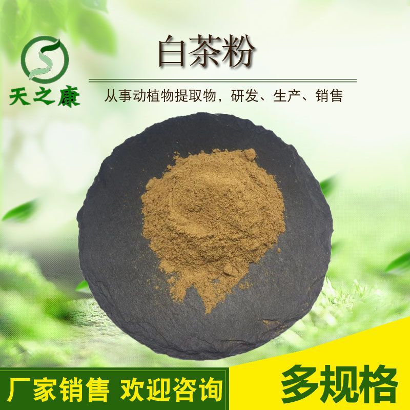 White Tea Extract, White Tea Concentrated Powder, White Tea Extract Powder, Processed Finished Product