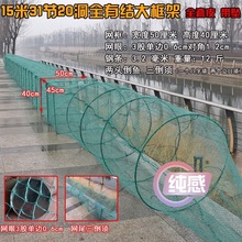 ���~�\�r�\���r�W�����r�\���~�\�����S�X���q���r�Ӻ���õؾW�\