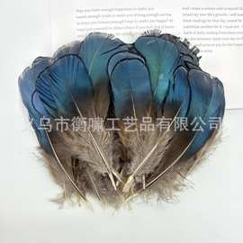 天然铜鸡绿片羽毛DIY手工饰品配件材料野禽毛 小羽毛服装辅料批发