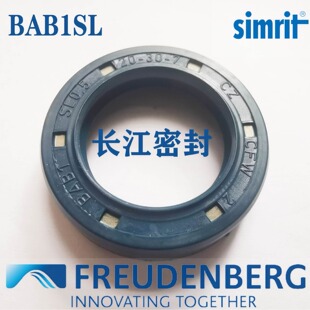 ����CZ CFW BABSL1 70*90*7   ��FREUDENBERG�Ǽ��ͷ�