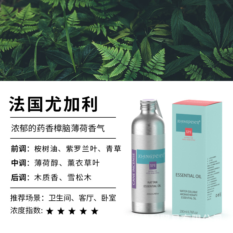 프랑스 유칼립투스(강한 맛, 살균)