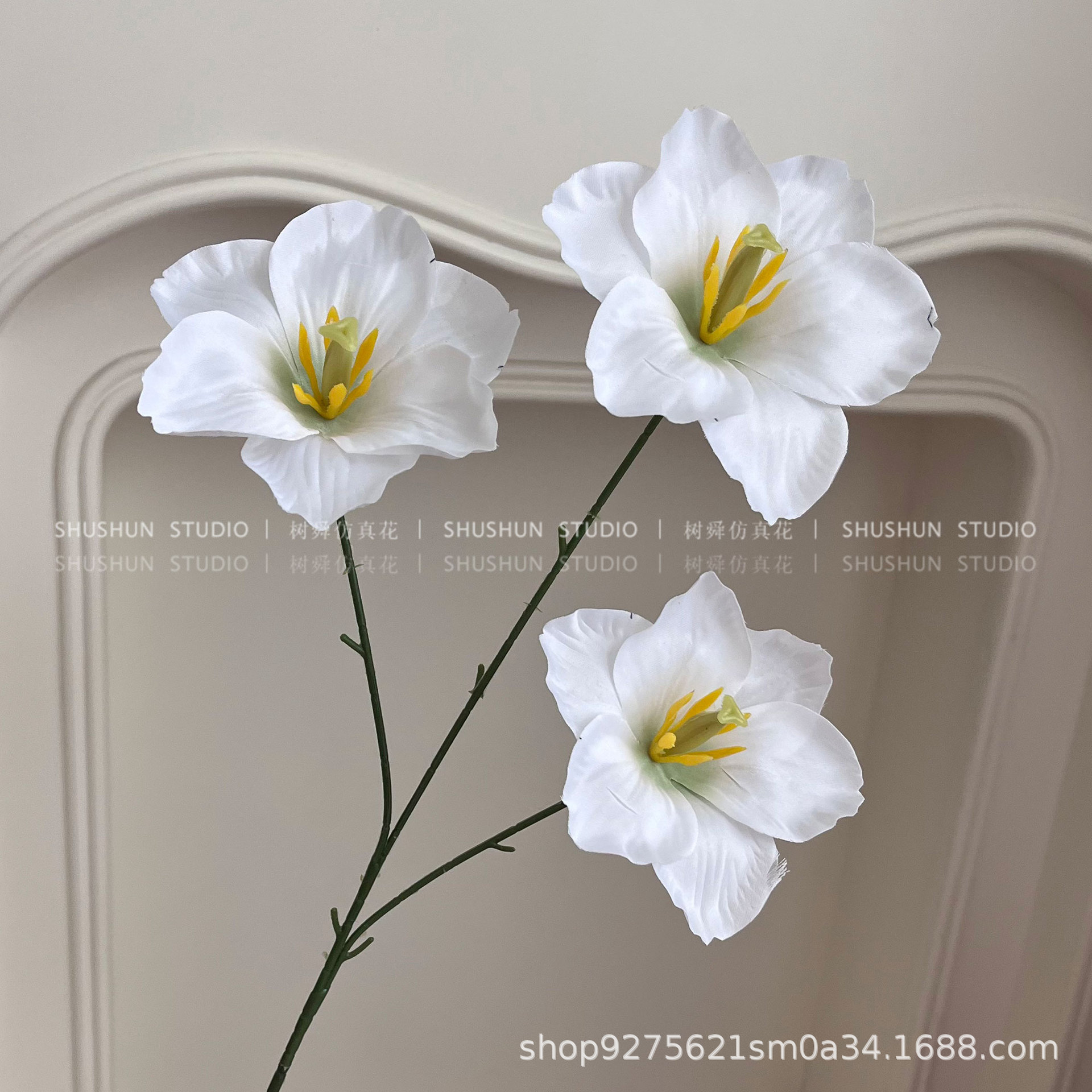 3 cabezas tulipanes-punta-blanco