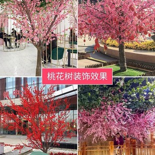 �F؛����ֲ�����⻨�@���쾰�һ�֦���һ���÷���ٻ�֦��c�b�