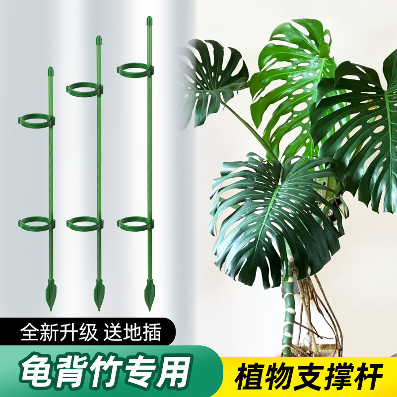 phalaenopsis clip plant support clip orchid fixed little clip flower support rod climbing vine gardening shaping