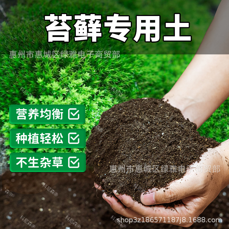 【苔藓专用土】养花通用营养土绿植种植专用土盆栽土有机肥料土壤