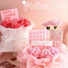 Ů�����������տ옷���Ʋ���ػ�ĸ�H���決�����b���Ů��������