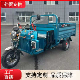 电动三轮拉货载重王三轮电动家用车电瓶车大型农用三轮车摆摊快递