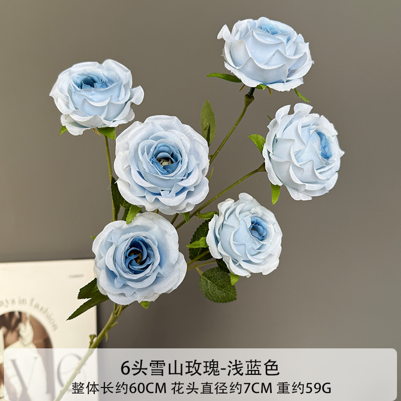 6송이 설산 장미