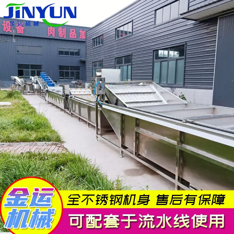 青橄榄西红柿清洗机 气泡臭氧水果清洗机 蔬菜前处理清洗加工设备