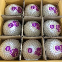 泰国椰青9粒新鲜椰子奶香水果一整箱大果批发厂跨境电商代发包邮