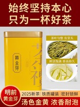 һ����b�S��ѿ500��2025���²贺��G���~�ײ���b���b