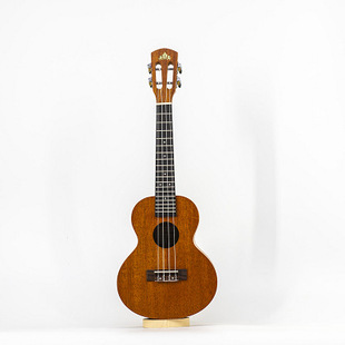 25���ȿ�������W���TС�������ľ�|�����ļ�����������