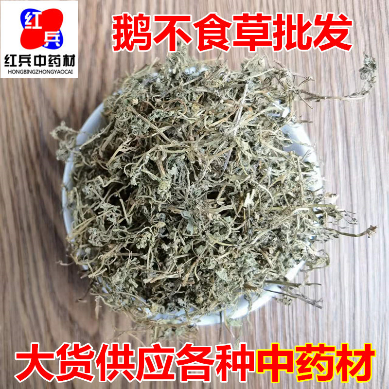 Dried Centipeda Herb E Bu Shi Cao Whole Plant Traditional TCM Botanical Bulk Supply overview