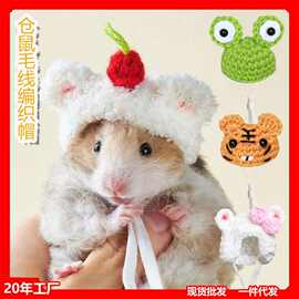 仓鼠小帽子金丝熊鹦鹉头套花枝鼠头饰衣服装饰蜜袋鼯宠物圣诞饰品