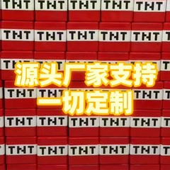 跨境电商我的磁力世界TNT磁力方块积木收纳盒玩具储物收纳箱