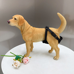 ��Ʒĸ���̋�ѝ����ѝ���ﹷ����ѝ����ѝѝ��ˮϴ���}�_������Ʒ