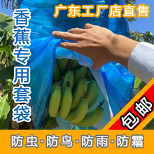 香蕉套袋保護包防護一體連體防蟲袋粉蕉有無孔透氣薄膜