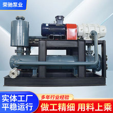 气冷真空机组罗茨泵气冷泵水环泵闭环双重散热高真空度压缩机