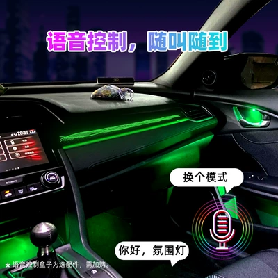Panel (Dashboard) işıqlandırması, Civic Tenth/Eleventh Generation Honda