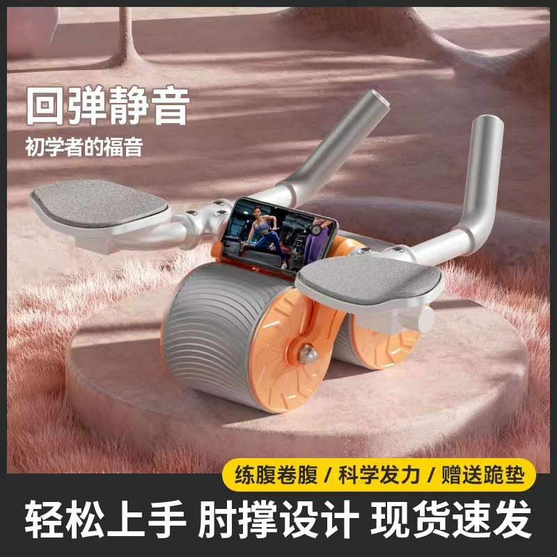 Dual wheel equipment for gym