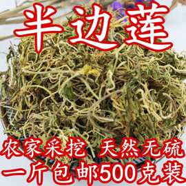 半边莲中草药500g野生半边连干半边花急解索细米草中药材多规格