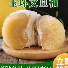 ��h�ĵ����Ӯ����������rˮ�������㽭̨�ݳ��T���ְ��]�羳���