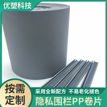 PP���ھ�Ƭ�[˽����PP��Ƭ19cmPP�����Ƭ3D�����[˽PPƬ��