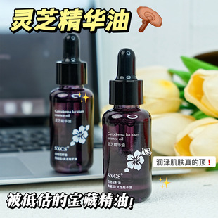 [Delivery Within 48 Hours] Su Xiuchen’S Ganoderma Essence Oil Anti-Wrinkle Firming Facial Essence Moisturizing and Lightening Lines