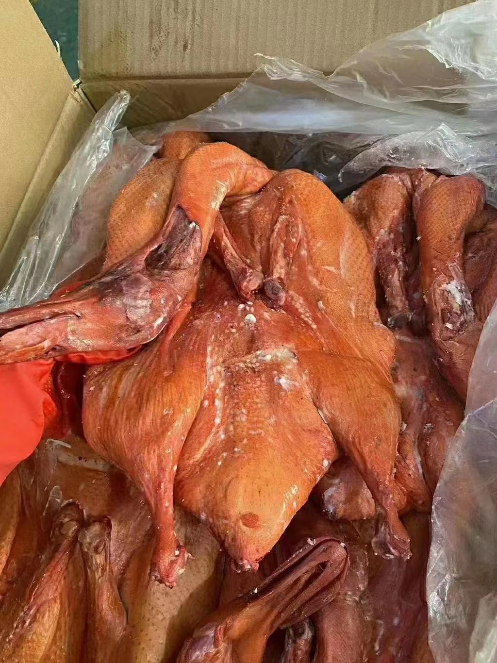 4c382a15c611d2560869e21583fbc9