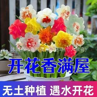 ˮ�ɻ��N��ˮ�����Ի��ܾGֲ��ˮ�����ஔ���_��ˮ���ذ�ˮ��