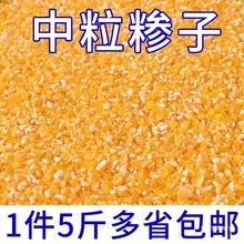 新粮玉米中碴子5斤河北农家中糁子苞米碴子玉米糁煮粥杂粮煮饭用