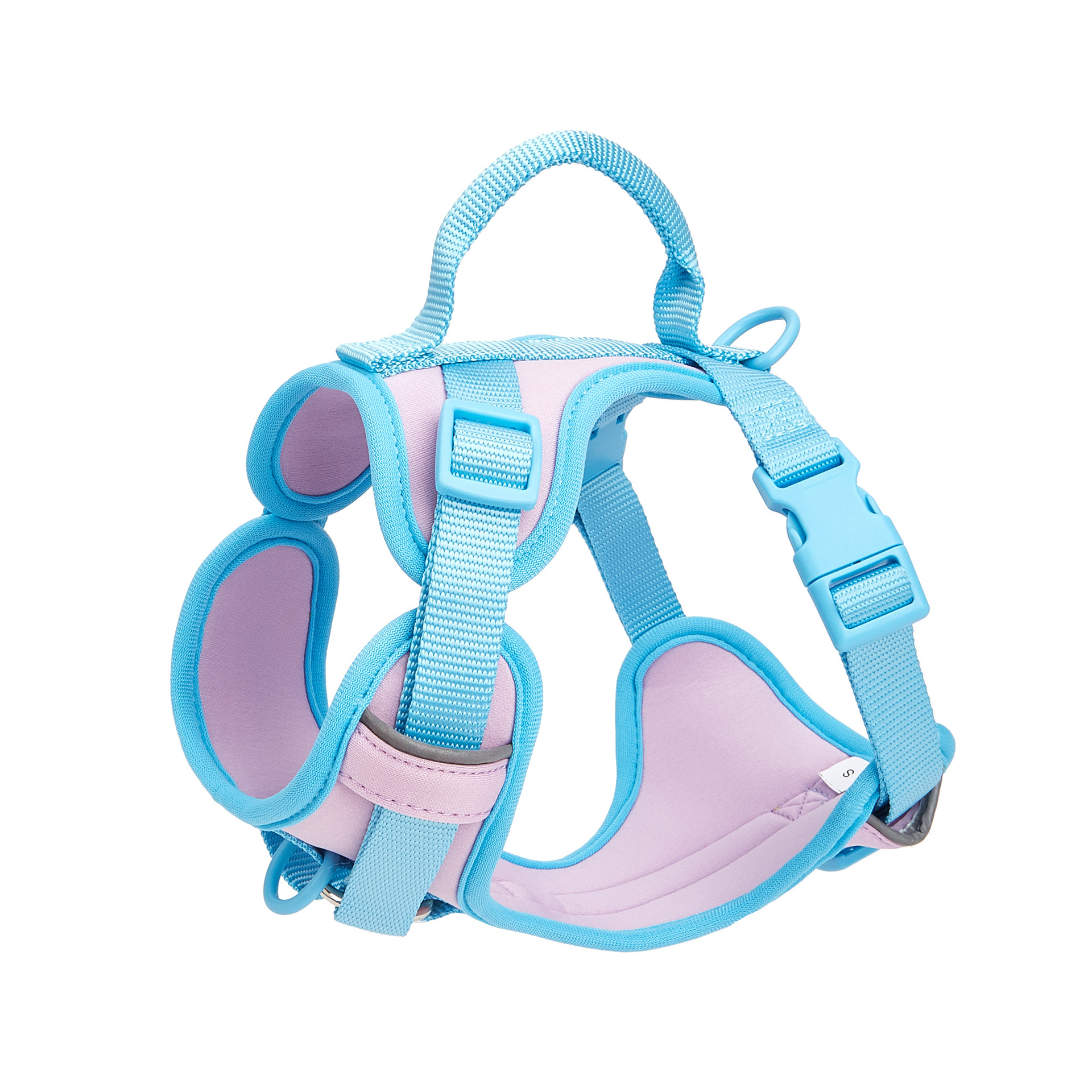 스카이 블루 충돌 라이트 퍼플