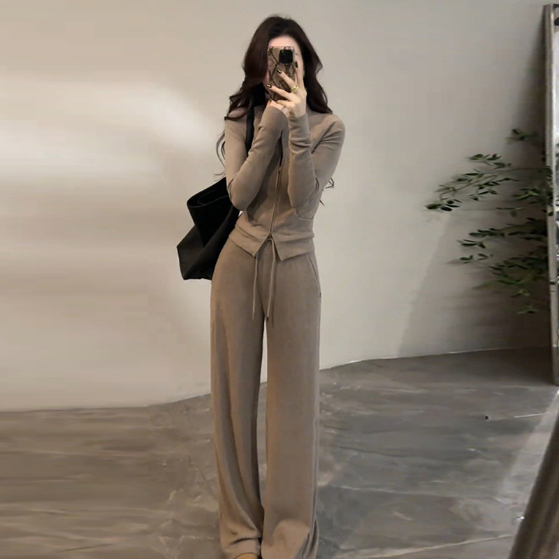 Casual Fashion Sports Sweatshirt Suit for Women Fleece-Lined Autumn and Winter Korean Style Slim Hooded Jacket Wide Leg Pants Two-Piece Set
