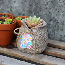 �羳�¿��鲼������[���Ҿӻ��@�����辰�b�ͥԺˇ�g��֬��ˇƷ