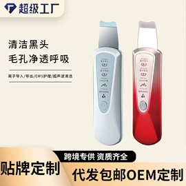 电子美容仪;注氧仪;美容导入仪