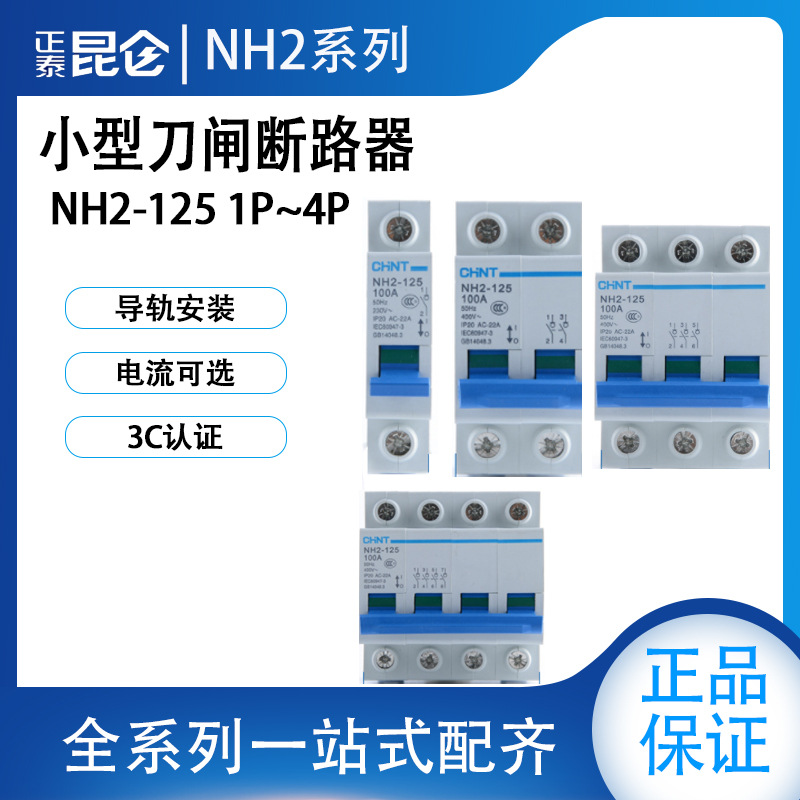 正泰隔离开关小型刀闸断路器 NH2-125 1P~4P 32A 63A 80A100A125A