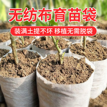 植物栽培无纺布种植袋免脱可降解育苗容器袋营养袋工厂现货批发