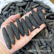 爱琴海土耳其参带刺米刺参希腊海参深海淡干海参干货天然黑刺参