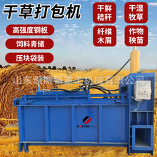 凯斯顿三缸套袋式压块机牧场青储秸秆方捆成型卧式干草打包机