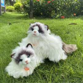 网红暹罗猫布偶猫境外热卖可爱仿真猫咪毛绒玩具猫猫娃娃公仔