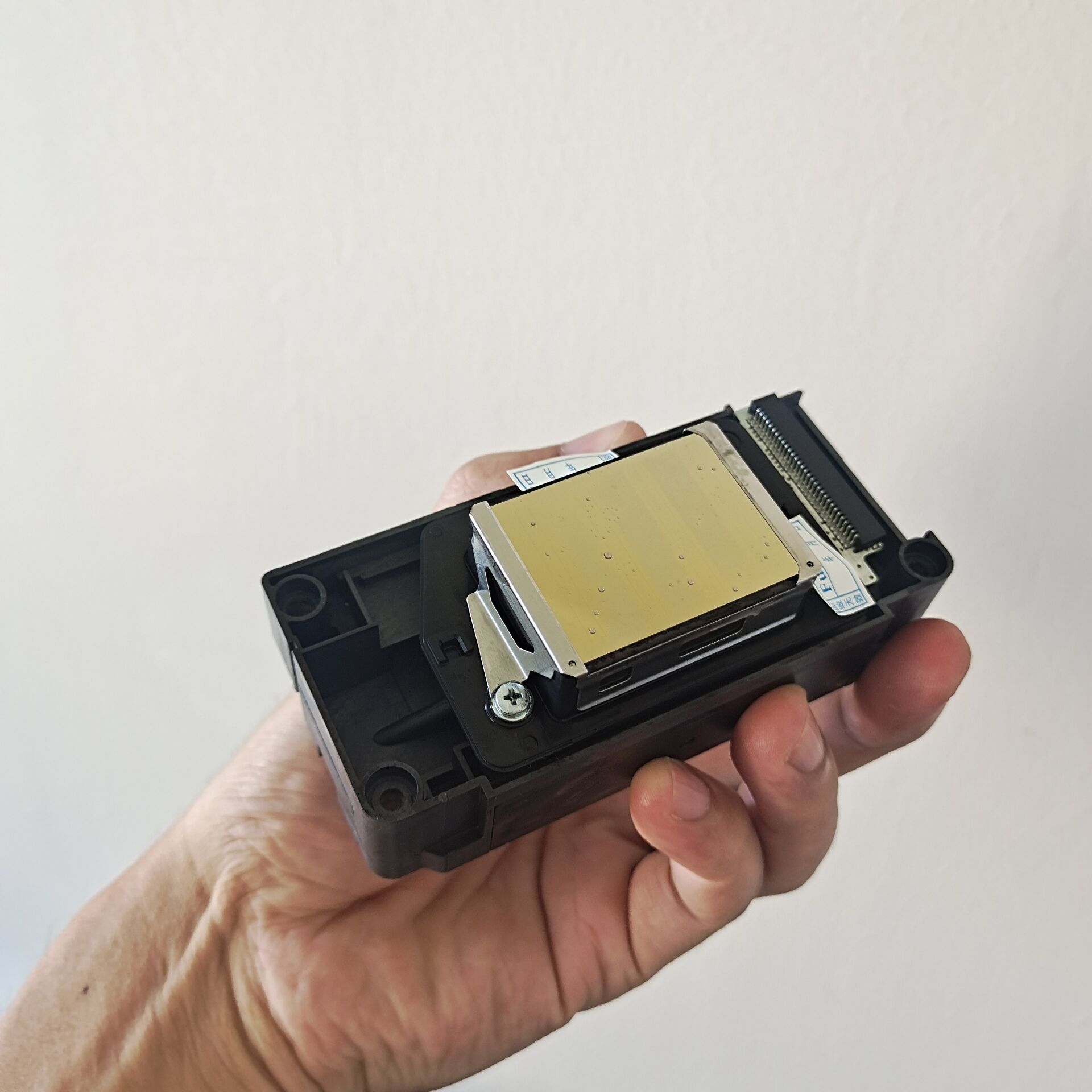 5th -generation vetera