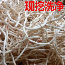 ���r���~�Ȳݸ� �F���۶���  ���蹝���� �r��Ұ�� ���ʳ�� ���]