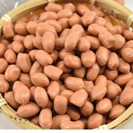 高仿真花生米食物模型橱窗摆饰影视摆设拍摄道具早教食玩厂家直销