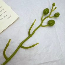 3��34cm�����m��֧�V�|�S��ֱ�N���滨֦�����������m����֦