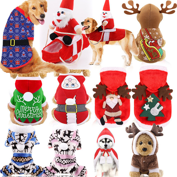 Wonderful purchase of dogs
