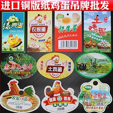 ���u������ �����u�����b�˺��u���ƾW���W�۴��̘˼����N������