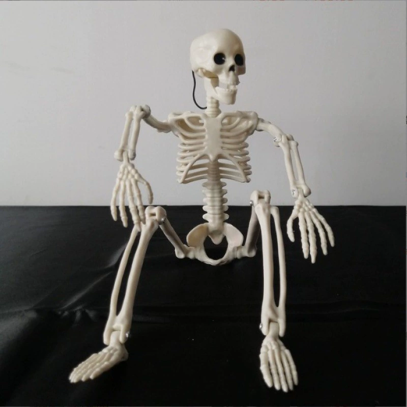 Adjustable human skeleton, (Cross-border trading), 40cm, halloween